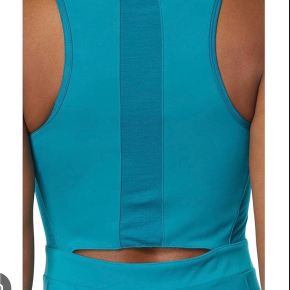 NWT Smartwool W Active Tank Dress - Picture 4 of 6